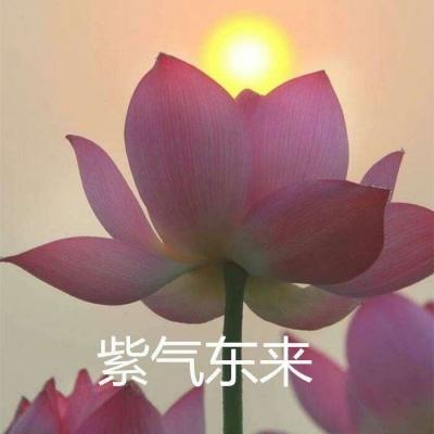 米加世界忙碌假期游戏下载